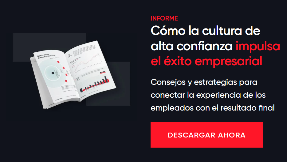 comercial informe